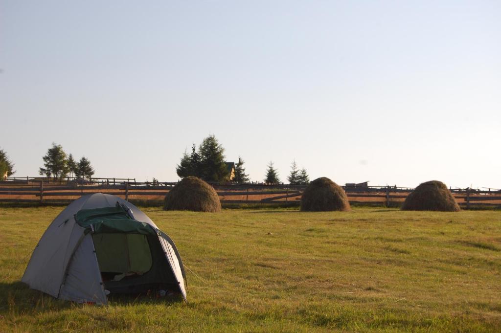 Cabana Motilor Mărişel Esterno foto