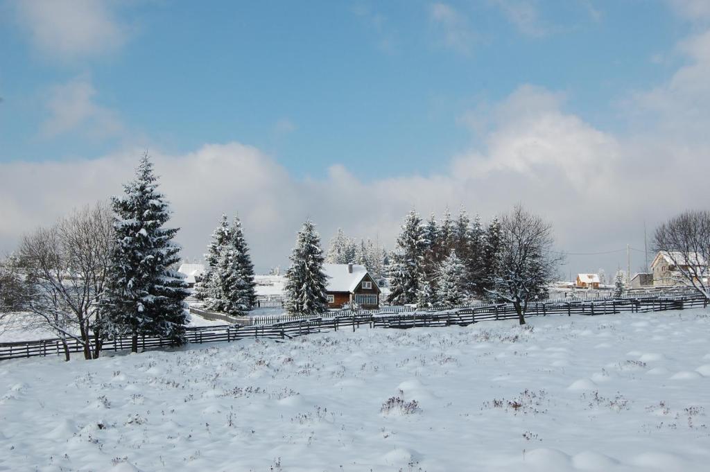 Cabana Motilor Mărişel Esterno foto
