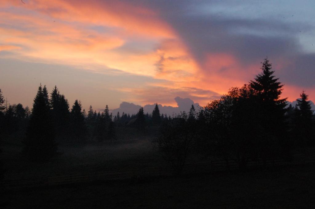 Cabana Motilor Mărişel Esterno foto