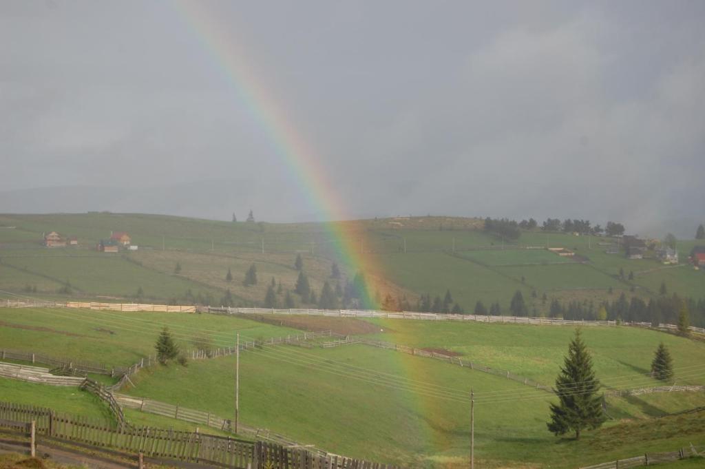 Cabana Motilor Mărişel Esterno foto