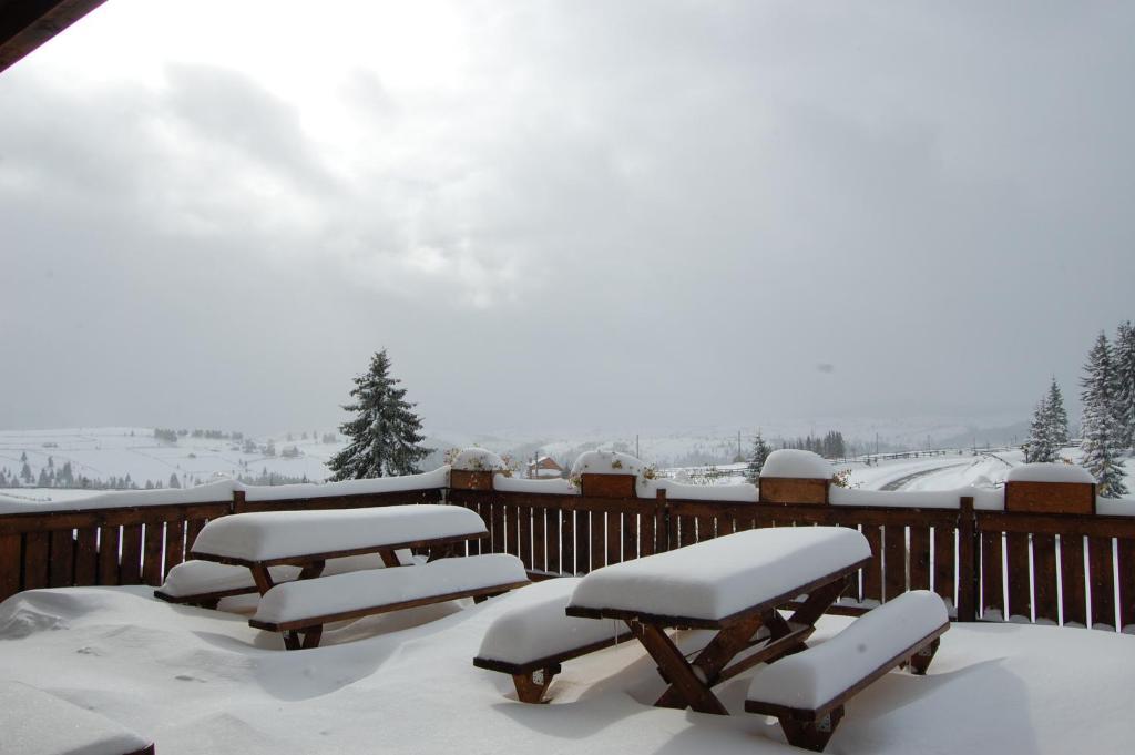 Cabana Motilor Mărişel Esterno foto