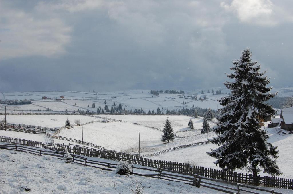 Cabana Motilor Mărişel Esterno foto