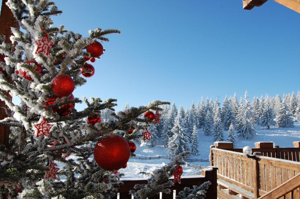 Cabana Motilor Mărişel Esterno foto