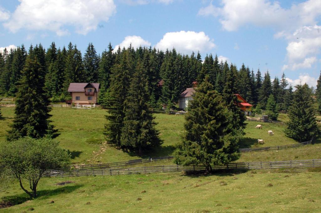 Cabana Motilor Mărişel Camera foto