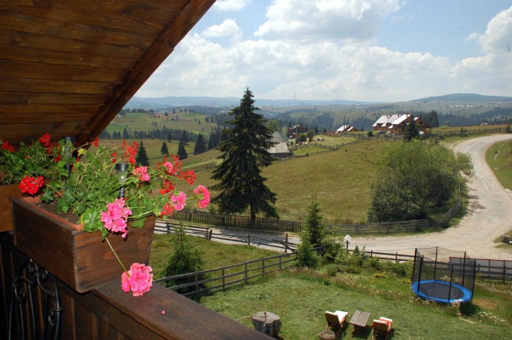 Cabana Motilor Mărişel Camera foto